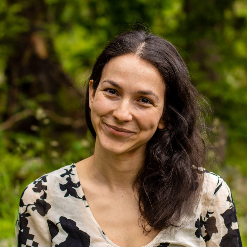 Sharon Stein Headshot